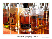 MWSoSA Annual Judging 2011